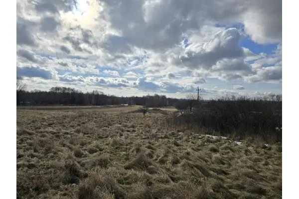 zawierciański, Łazy, Niegowoniczki, Działka na sprzedaż