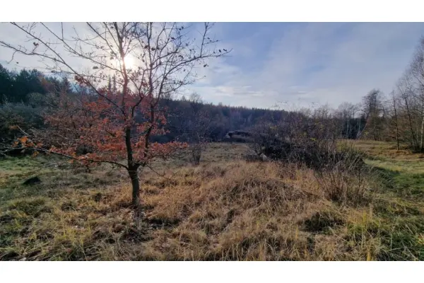 Dąbrowa Górnicza, Sikorka, Działka na sprzedaż