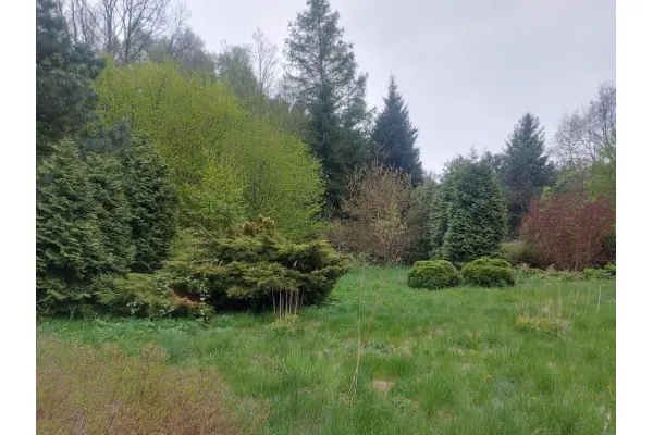 zawierciański, Łazy, Ciągowice, Działka na sprzedaż