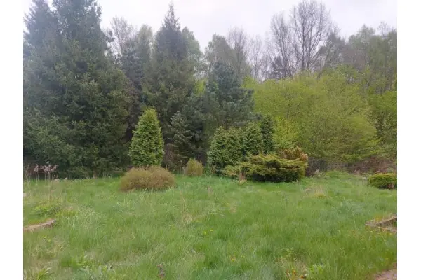zawierciański, Łazy, Ciągowice, Działka na sprzedaż