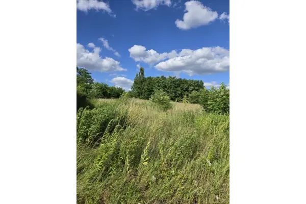 Sosnowiec, Zagórze, WSTRZYMANA, Działka na sprzedaż