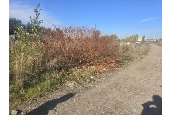 Dąbrowa Górnicza, Ujejsce, Działka na sprzedaż