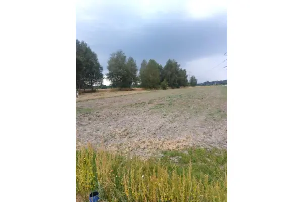 będziński, Siewierz, Warężyn, Działka na sprzedaż