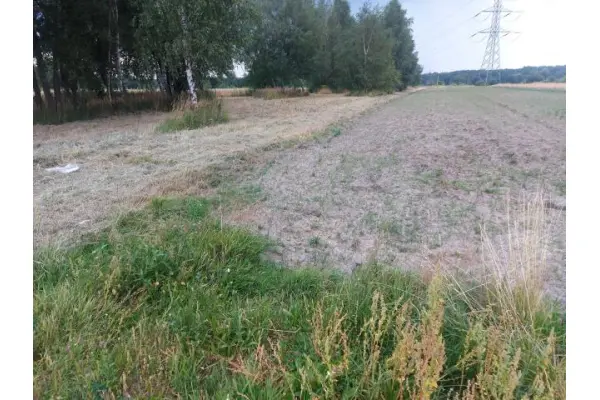 będziński, Siewierz, Warężyn, Działka na sprzedaż
