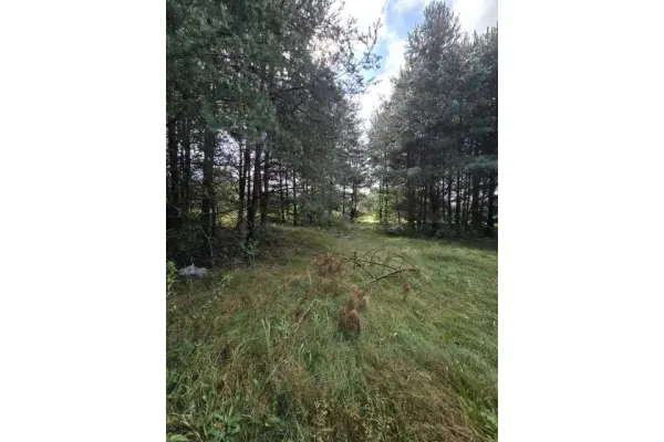 tarnogórski, Ożarowice, Działka na sprzedaż