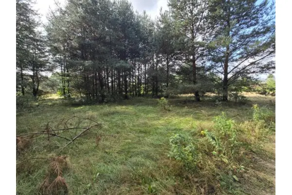 tarnogórski, Ożarowice, Działka na sprzedaż