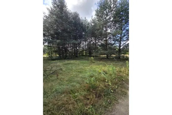 tarnogórski, Ożarowice, Działka na sprzedaż