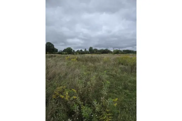 tarnogórski, Ożarowice, Pyrzowice, Działka na sprzedaż
