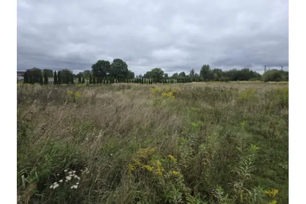 tarnogórski, Ożarowice, Pyrzowice, Działka na sprzedaż