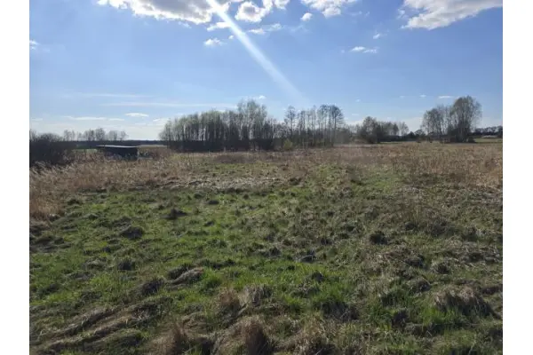 zawierciański, Łazy, Niegowoniczki, Działka na sprzedaż