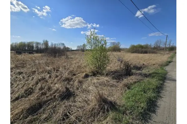 zawierciański, Łazy, Niegowoniczki, Działka na sprzedaż