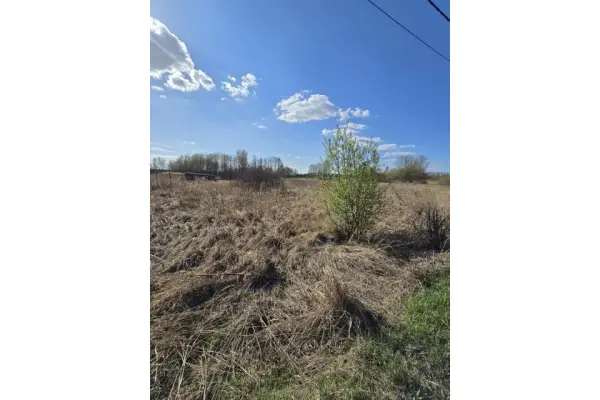 zawierciański, Łazy, Niegowoniczki, Działka na sprzedaż