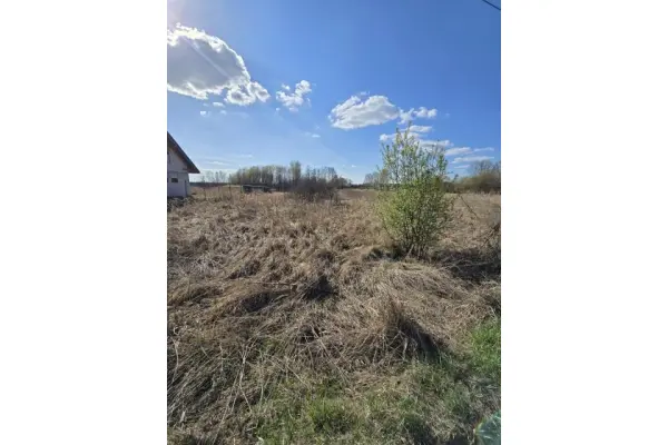 zawierciański, Łazy, Niegowoniczki, Działka na sprzedaż
