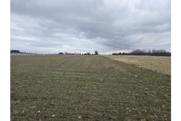 tarnogórski, Ożarowice, Tąpkowice, Działka na sprzedaż